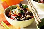 American Barbecued Duck Salad Recipe Appetizer