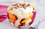 American Peach Melba Trifles Recipe Dessert