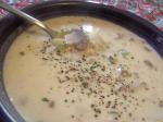 American Ozark Mushroom Soup Appetizer