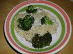 American Pasta With Broccoli and Blue Cheese Appetizer