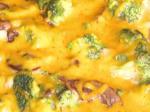 American Cheesy Broccoli Bake paula Deen Appetizer