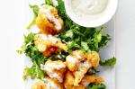 American Chilli Cauliflower Fritters With Blue Cheese Dressing Recipe Appetizer