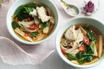 American Udon Noodle Soup With Eggplant Tempura Recipe Appetizer