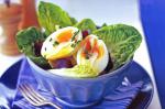 American Baby Cos And Beetroot Salad With Softboiled Egg Recipe Appetizer