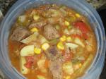 American Big Brother Teds Veggie Beef stoup Appetizer