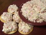 American Clean Out the Fridge Ham Salad Appetizer