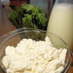 Mexican Homemade Ricotta 3 Appetizer