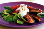 American Spiced Baby Eggplant and Capiscum With Yoghurt Dressing Recipe Appetizer