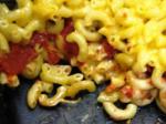 Canadian Pasta and Tomato Casserole Dinner