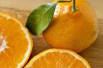 American Rosemary Candied Orange Peel Recipe Dessert