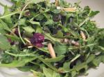 American Arugula and Almond Salad With Dried Cranberries Appetizer