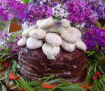 Italian Chocolate Meringue Cake 1 Dessert