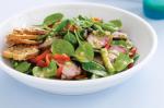 American Beef And Asparagus Salad With Citrus Dressing Recipe Appetizer