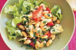 American Lemon Oregano Bean Salad Recipe Appetizer