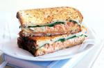 American Pantoasted Salmon and Cheese Sandwiches Recipe Appetizer