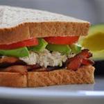 Canadian Tuna Avocado and Bacon Sandwich Recipe Appetizer