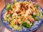 American Oriental Noodle Salad With Peanuts Spinach  Cabbage Appetizer