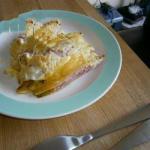 American Oven Dish Chicory with Ham and Cheese Dinner