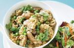 American Chicken And Mushroom Pilaf Recipe Appetizer