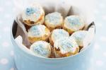 American Chocchip Baby Cupcakes Recipe Dessert