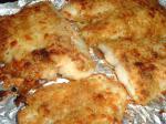 American Parmesan Catfish Filets Dinner