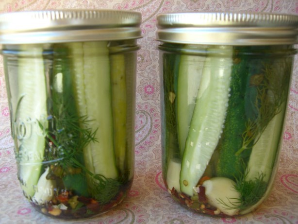 American Grandmas Dill Pickles Appetizer