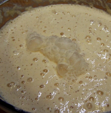 American Foolproof Sourdough Starter 2 Appetizer