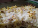 American Macaroni and Cheese With Caramelized Onions Appetizer
