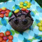 American Ladybird Muffins Dessert