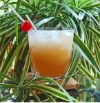 American Harvest Nectar Cocktail Drink