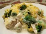 Canadian Chicken Broccoli Cheesy Casserole Appetizer
