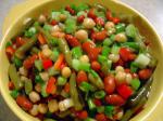 British Veras Three Bean Salad Dinner