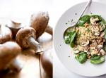 American Quinoa Spinach and Mushroom Salad Recipe Appetizer