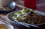 American Cabbage Jicama And Cucumber Salad Recipe Appetizer