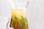American Lemon Lime And Ginger Iced Tea Fizz Recipe Appetizer