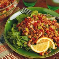 American Warm Lentil and Roasted Pepper Salad Appetizer