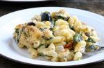 American Greek Style Mac andn Cheese Appetizer