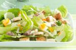 Canadian Caesar Salad With Tuna Recipe Appetizer