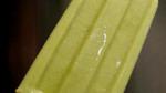 Australian Avocado Lime Popsicles Registered  Recipe Appetizer
