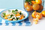 American Mandarin And Fennel Salad Recipe Appetizer