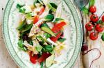 American Mediterranean Chicken Pasta Salad Recipe 1 Appetizer