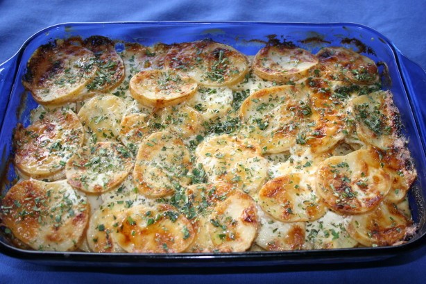 Australian Potato Gratin With Truffle Oil Appetizer