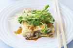 Australian Asian Mushroom Omelette Recipe Dinner
