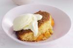 Australian Coconut Peach Pudding Recipe Dessert