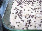 My Hubbys Chocolate Chip Camping Cake recipe