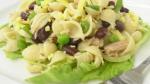 Italian Tuna Pasta Salad Recipe Appetizer