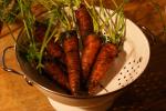 Australian Roasted Carrot Paste Appetizer
