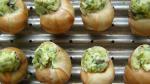 Australian Escargot Mushrooms Recipe Appetizer