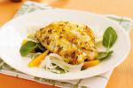Australian Orange And Fennel Fish Recipe Appetizer