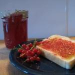 American Red Currant Jelly Recipe Appetizer